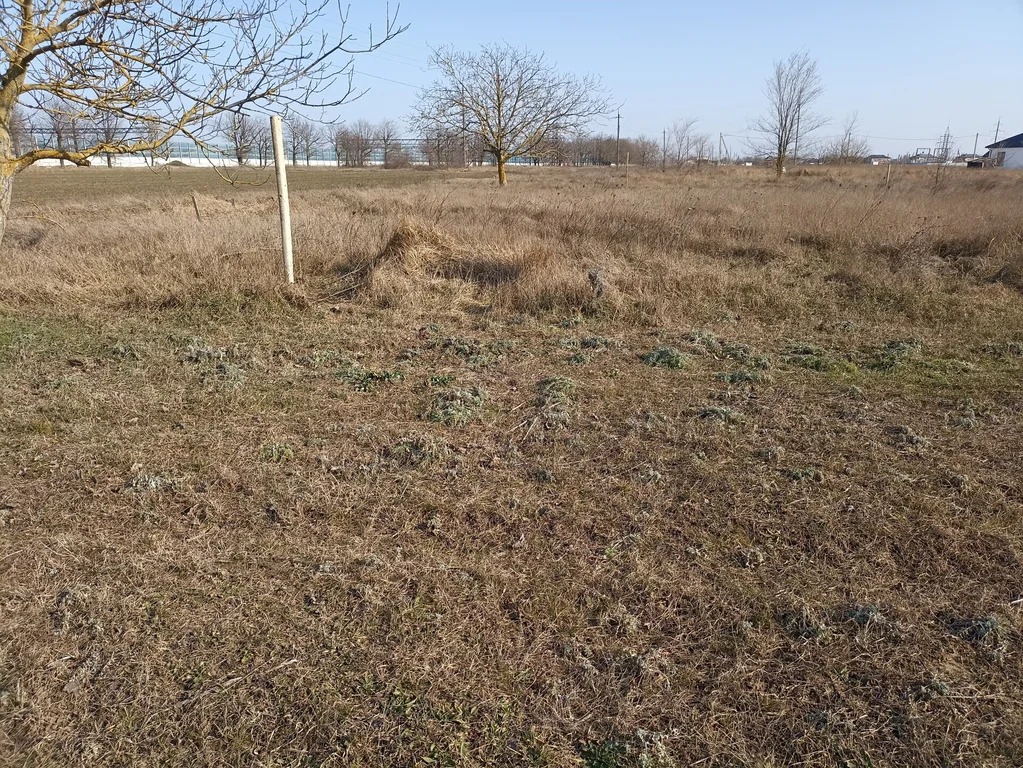 Продажа участка, Белый, Темрюкский район, ул. Молодежная - Фото 3