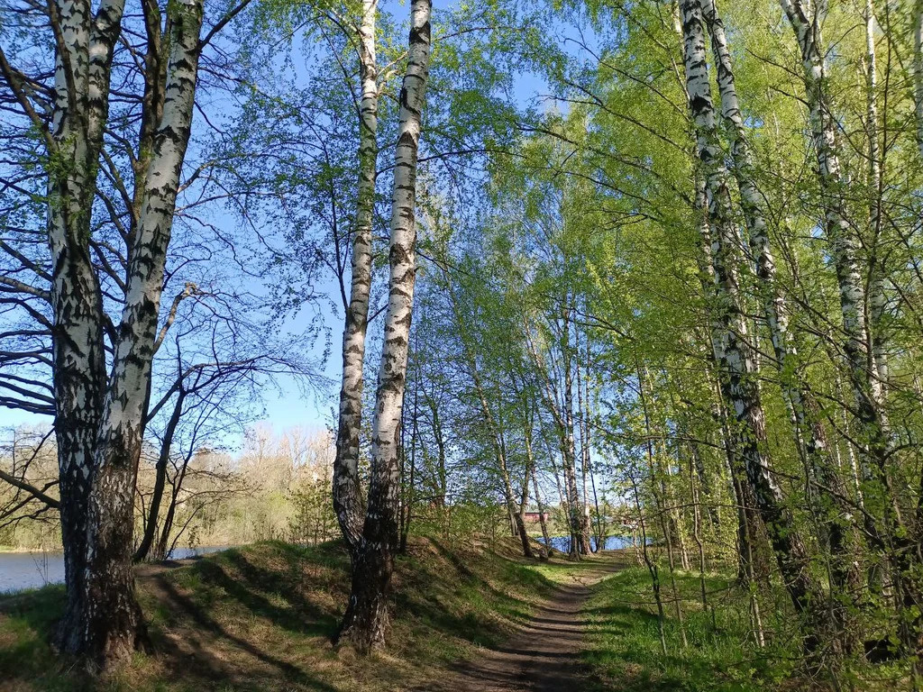 Дом 194 м2  с террасой на участке 6 сот. - Фото 19