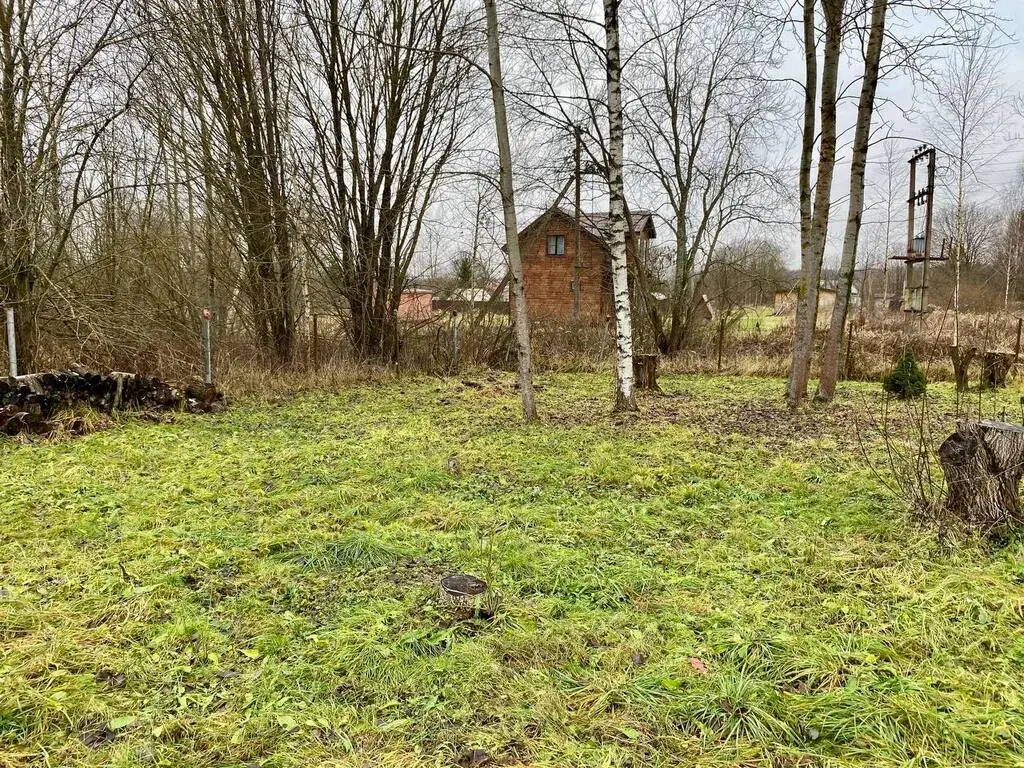 Дом 41 м2 на участке 12 сот. - Фото 21