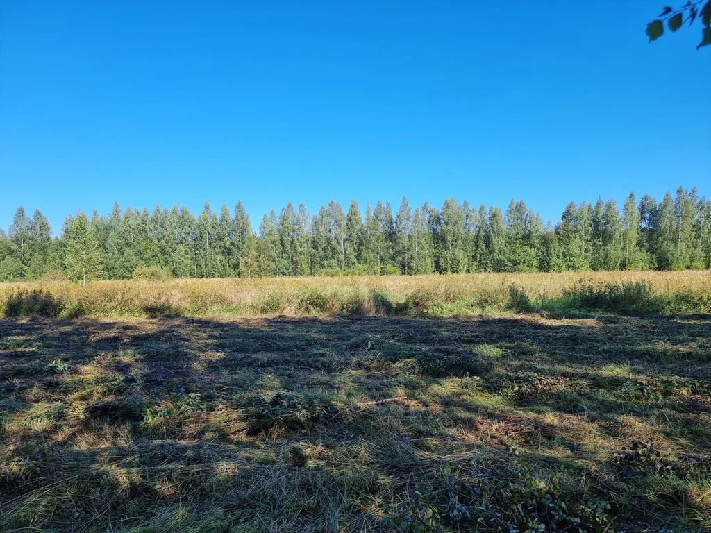 Продажа участка, Большие Пороги, Всеволожский район - Фото 6