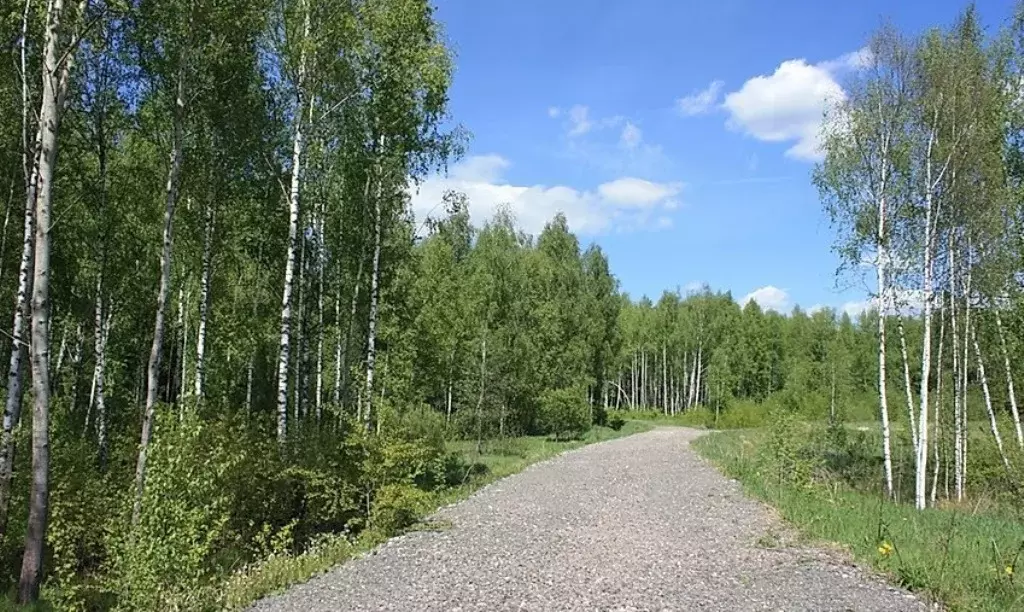 Продажа большого лесного участка в поселке на Новорижском шоссе 18км - Фото 10