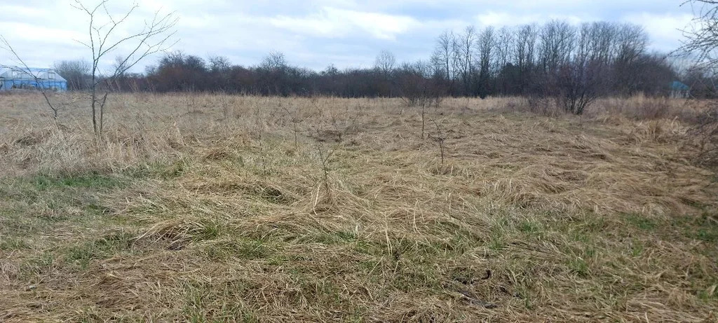 Продажа участка, Оазис, Северский район, ул. Длинная - Фото 9