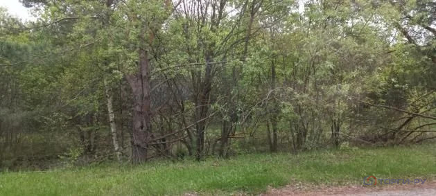 Продажа участка, Свобода, Вадский район - Фото 1