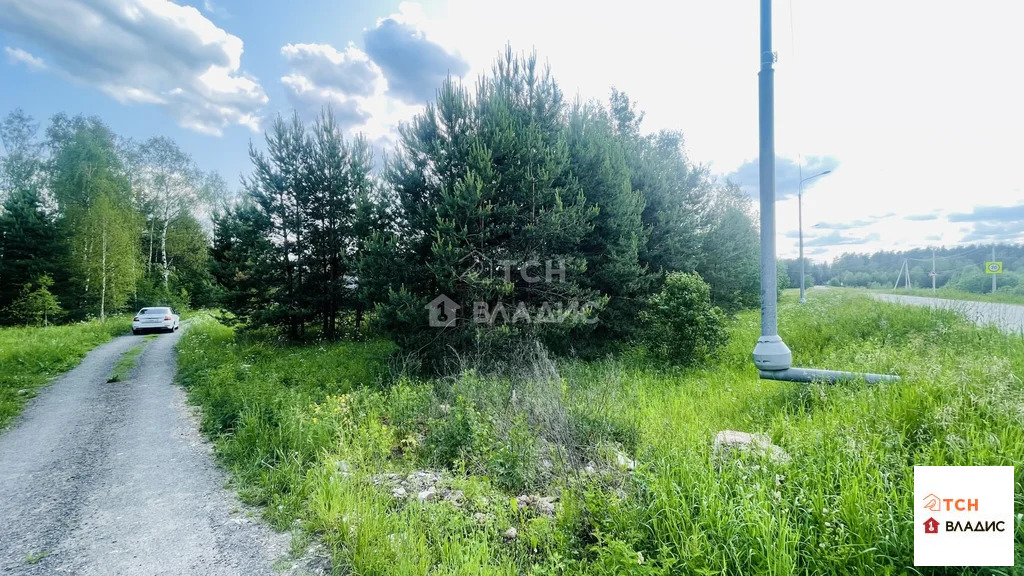 Продажа участка, Ямкино, Богородский г. о. - Фото 4