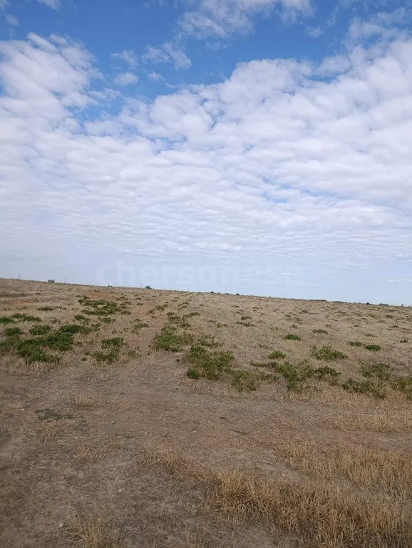 Продажа участка, Уткино, Красноперекопский район, ул. Мира - Фото 5