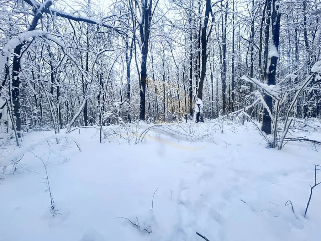 Продажа участка, Сокольники, Дмитровский район - Фото 3