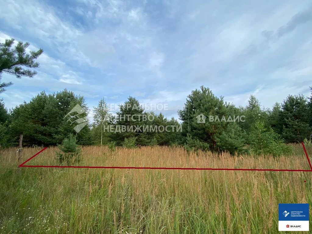 Продажа участка, Фролово, Клепиковский район - Фото 5