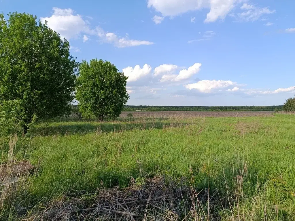 Участок в деревне Станинская - Фото 2