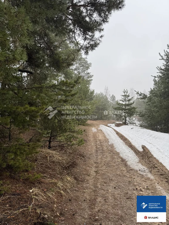 Продажа участка, Рязанский район, садоводческое товарищество ... - Фото 4