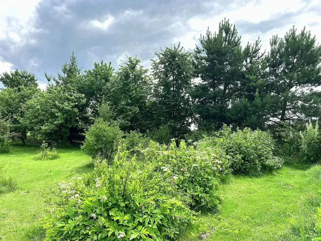 Дом в деревне Зименки - Фото 29