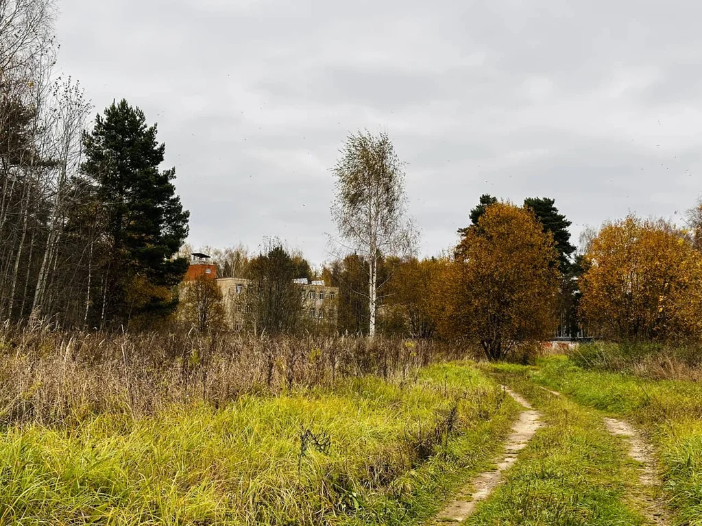 Продажа участка, Княжево, Дмитровский район - Фото 6