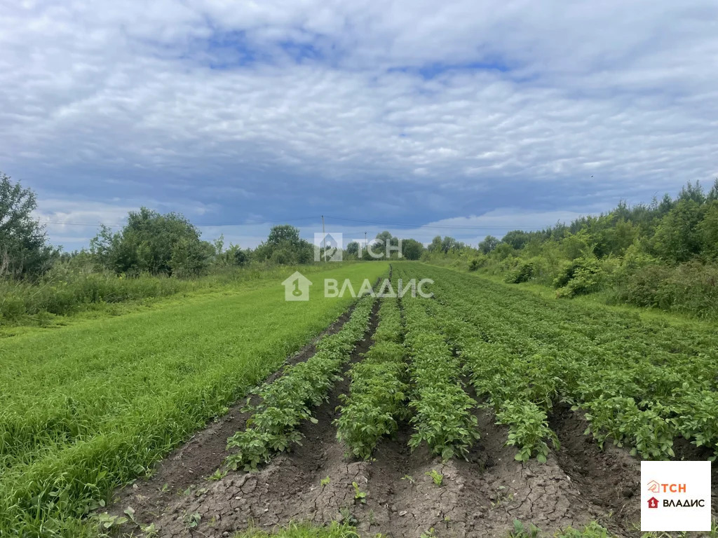 городской округ Луховицы, село Любичи, Советская улица,  дом на ... - Фото 8