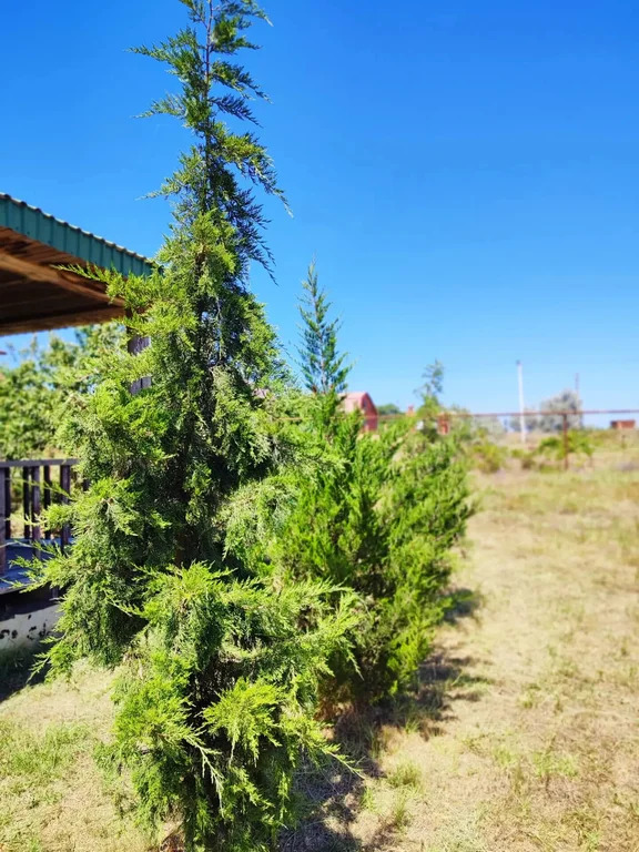 Продажа дома, Голубицкая, Темрюкский район, ул. Кубанская - Фото 14