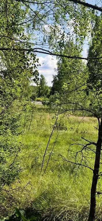 Участок в деревне Соколово - Фото 2