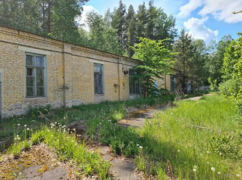 Продажа производственного помещения, Сланцы, Сланцевский район, ул. ... - Фото 19