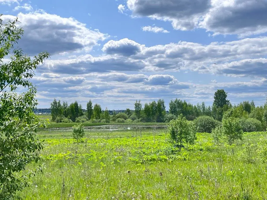 Купить участок Рогачево, Можайский район, продажа земельных участков  Рогачево, Можайский район недорого на AFY.ru