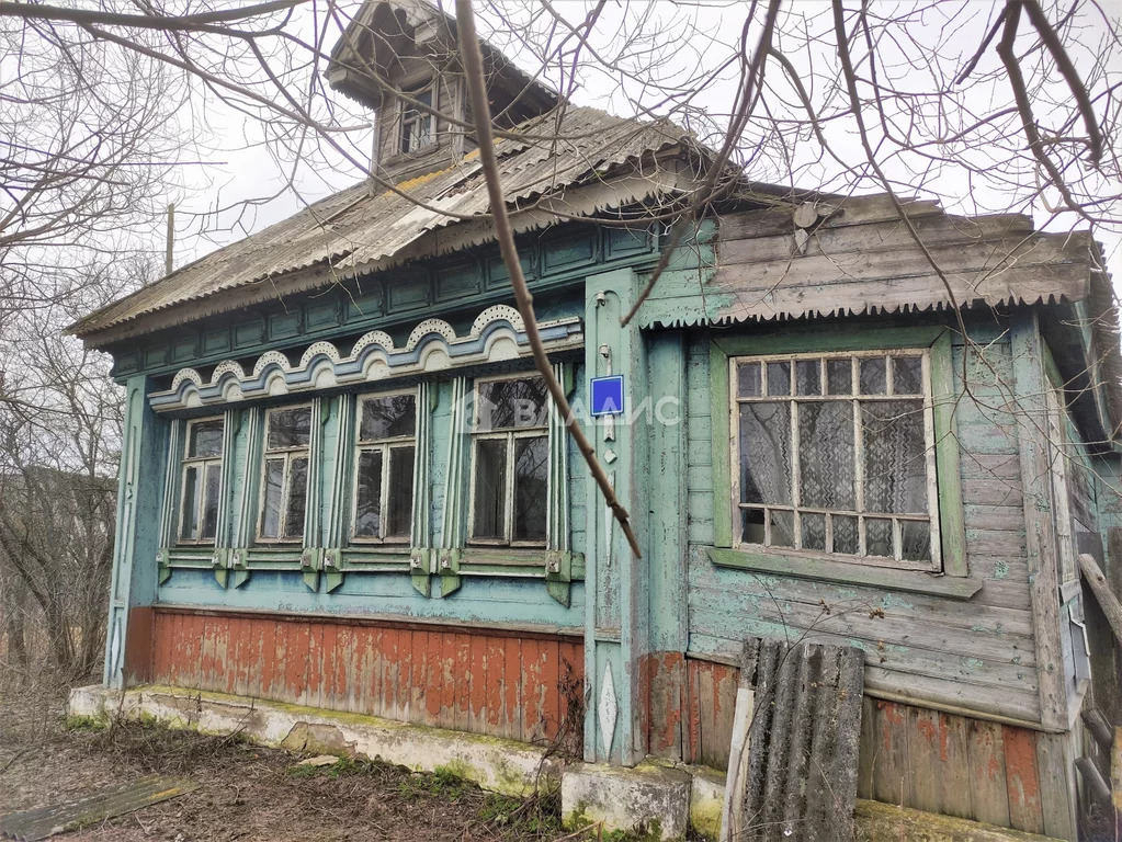 Судогодский район, деревня Райки, дом на продажу - Фото 0