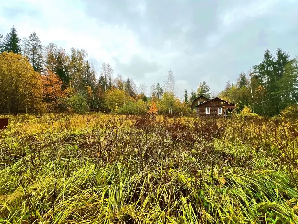 Дача в СНТ Василек-3 - Фото 15