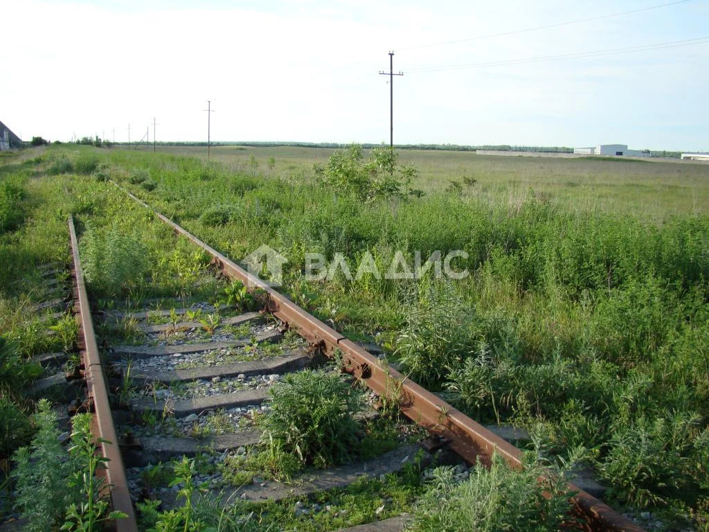 Складское на продажу, Всеволожский район, посёлок Лесное, территория ... - Фото 3