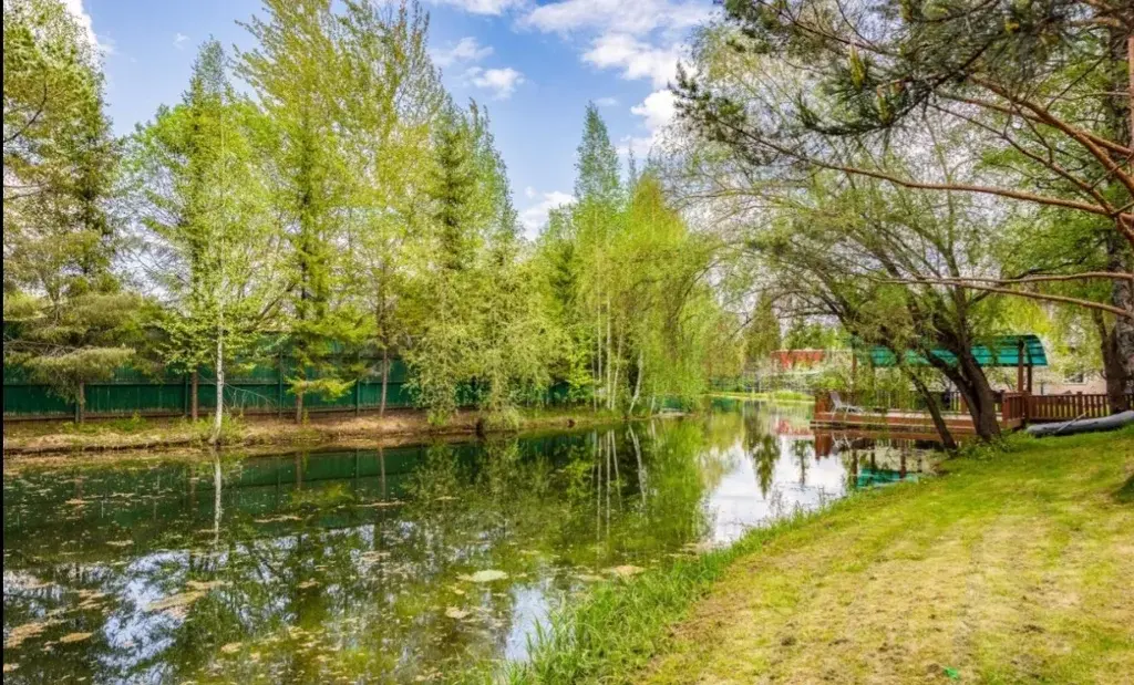 Продам уникальную усадьбу с сoбствeнным проточным водоёмом - Фото 22