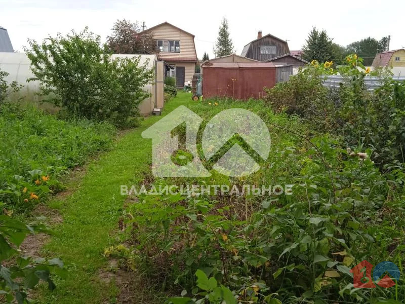 Колыванский район, СНТ Электрон, Высоковольтная улица,  дом на продажу - Фото 8