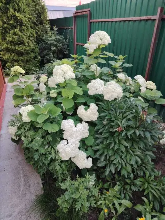 Продаётся дом в СНТ Родничок, Малоярославецкого района - Фото 19