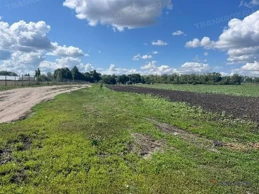 Продажа участка, Симбухово, Мокшанский район, ул. Школьная - Фото 10
