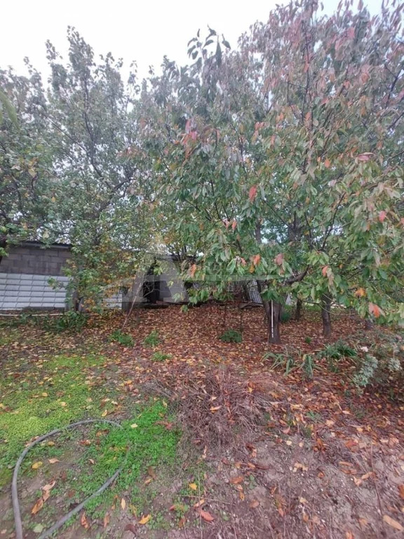 Продажа дома, Георгиевск, ул. Продольная - Фото 17