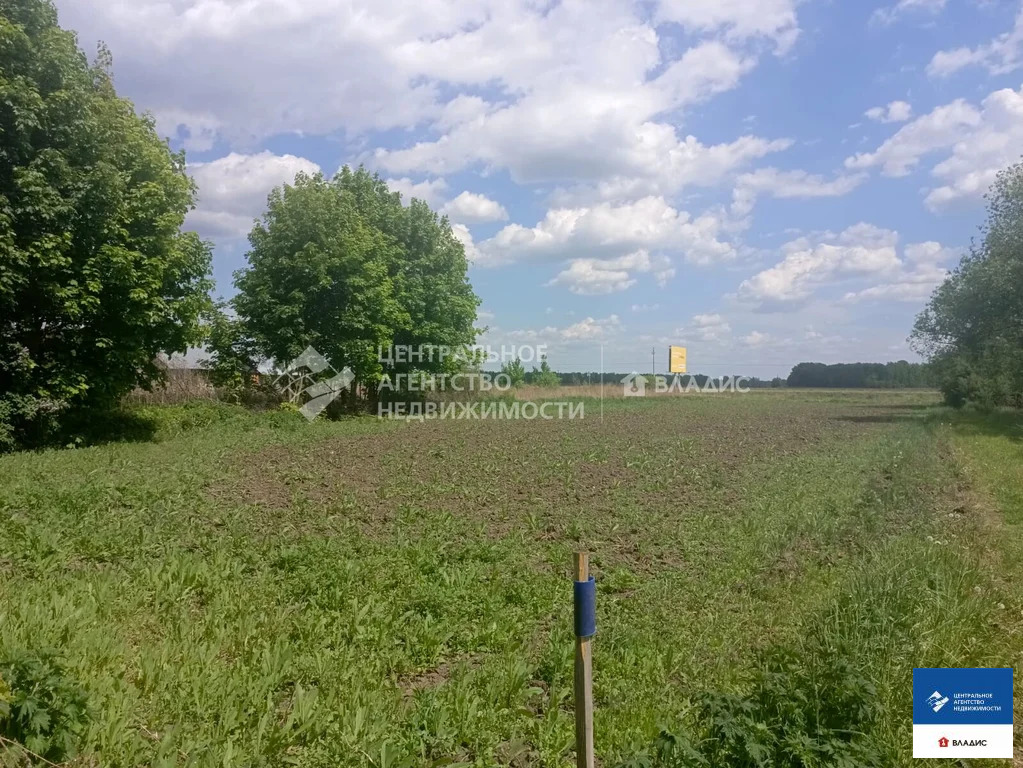 Продажа участка, Горяйново, Рыбновский район - Фото 4