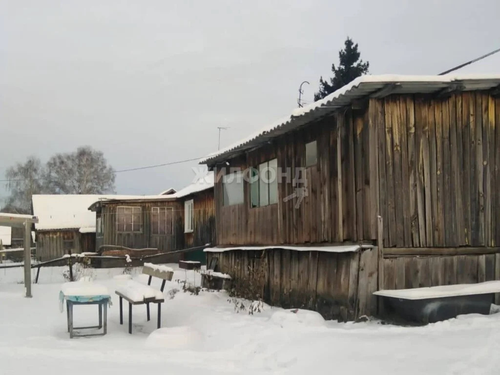 Продажа дома, Пайвино, Новосибирский район, ул. Школьная - Фото 22