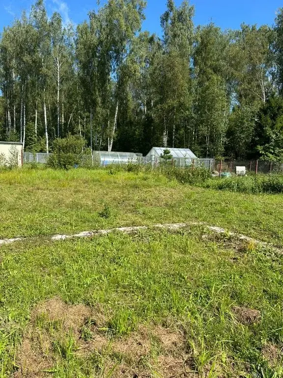 Участок в окружение леса Снт Уголёк с фундаментом 3х4 - Фото 6