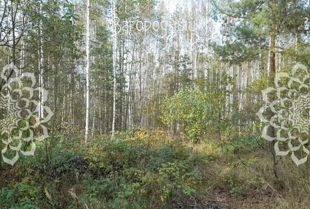 Продам участок, Дмитровское шоссе, 85 км от МКАД - Фото 4