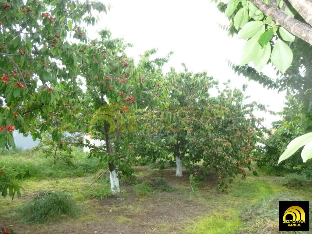 Продажа дома, Вышестеблиевская, Темрюкский район, Советский пер. - Фото 17