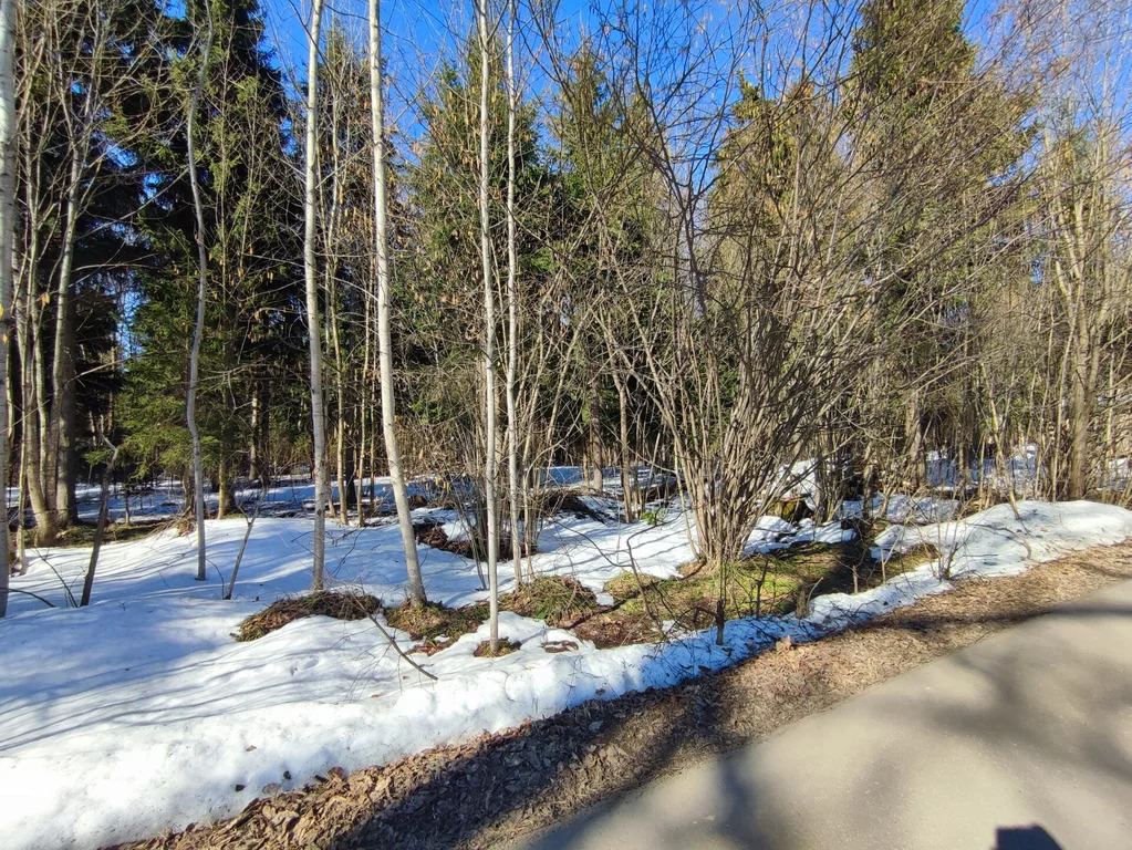 Продажа участка, НИИ Радио, Одинцовский район, Тыльная улица - Фото 3