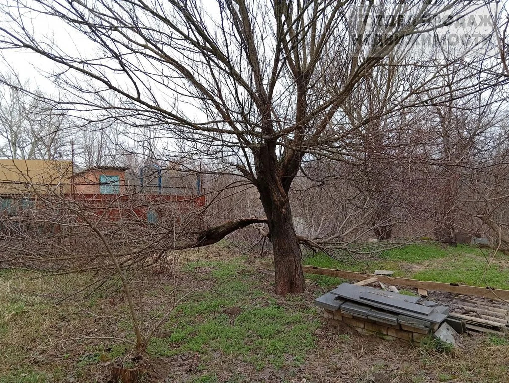 Квартира нам земле - Фото 19