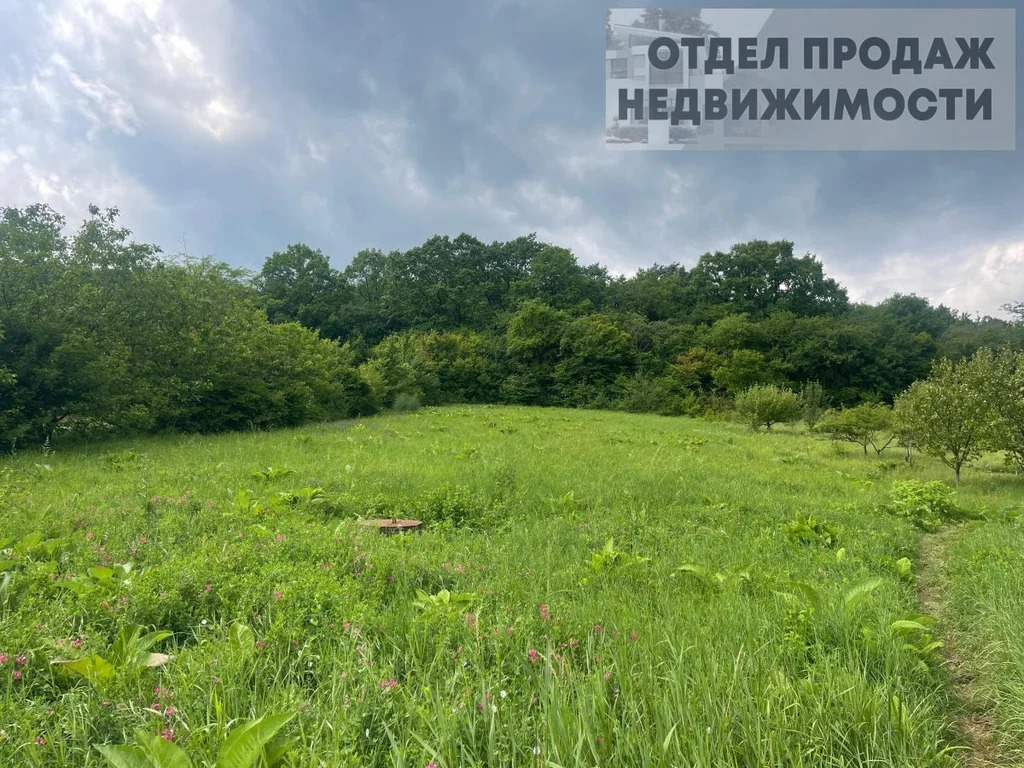 Большой участок - Фото 1