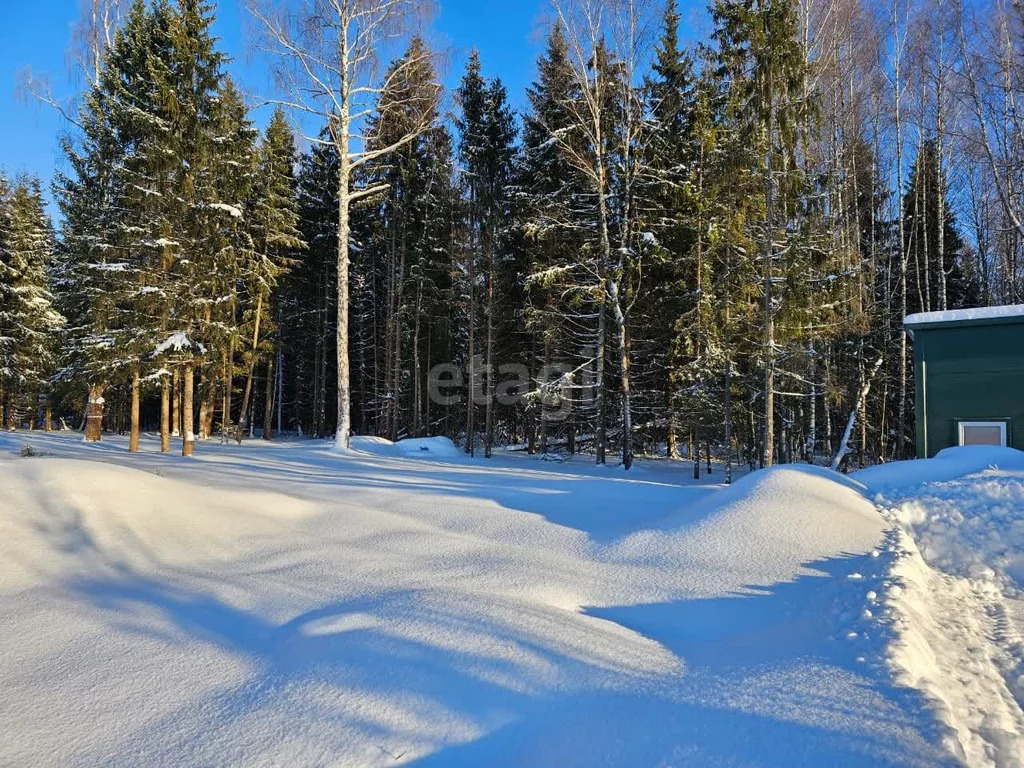 Продажа участка, Холмы, Истринский район, Ул. Березовая - Фото 3