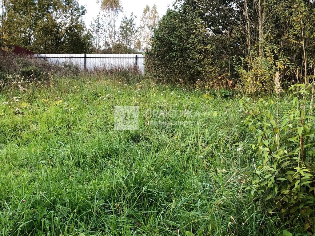 Продажа участка, Рузский район, СНТ Анюта - Фото 5