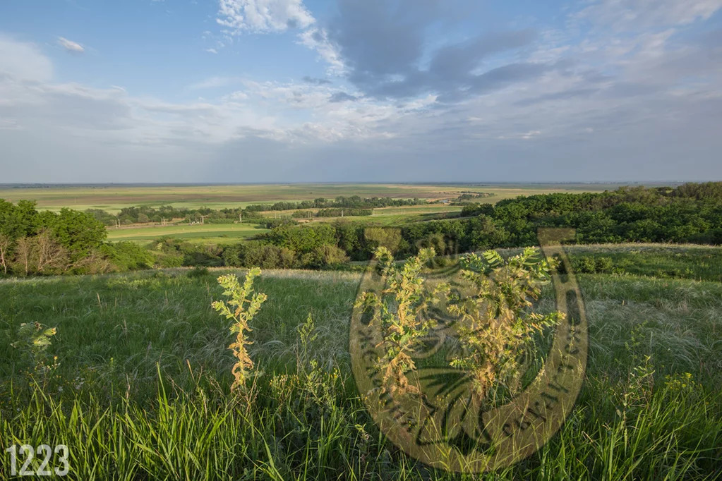 Продажа участка, Большой Лог, Аксайский район, Ул. Новая - Фото 2