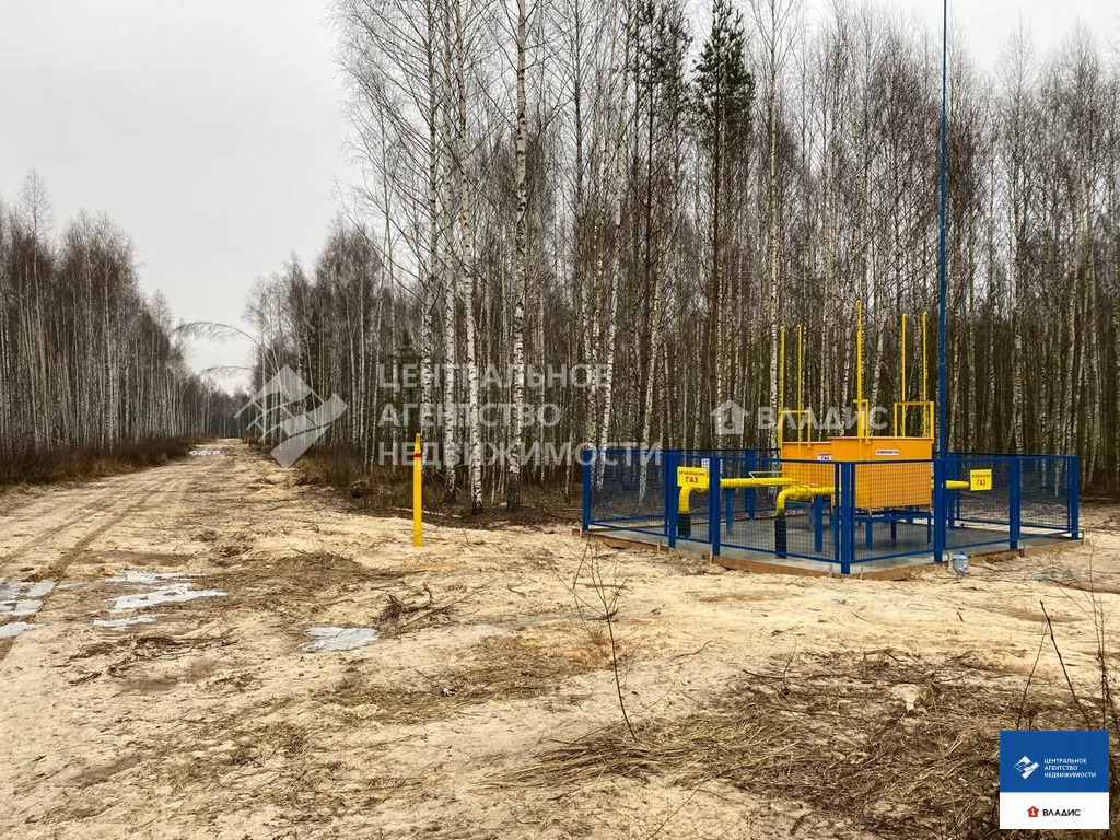 Продажа участка, Ярустово, Спасский район, ул. Лесная - Фото 5
