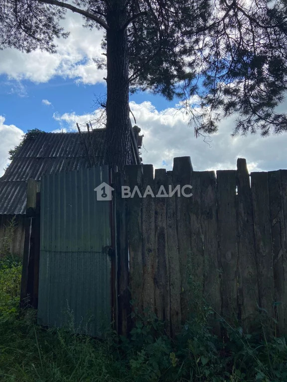 Гусь-Хрустальный район, деревня Вашутино, Школьная улица, д.3, . - Фото 0