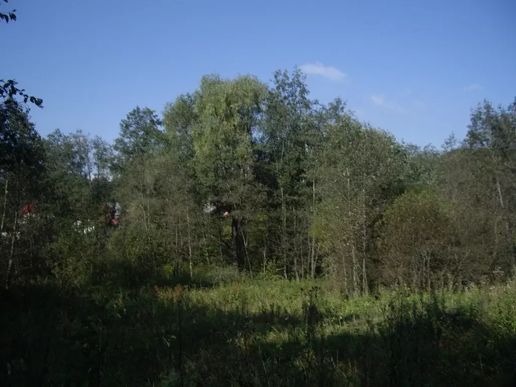 Лесной участок ИЖС в поселке на Новорижском ш. 9 км от МКАД - Фото 0