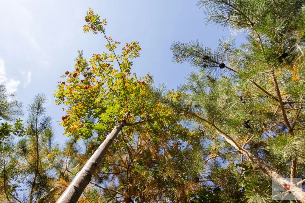 Продажа квартиры, Казань, ул. Бутлерова - Фото 22