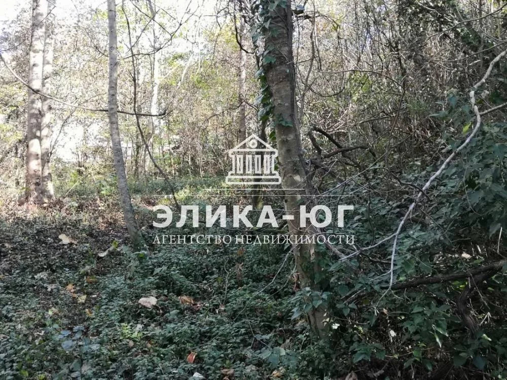 Продажа участка, Вольное, Туапсинский район, ул. Лесная - Фото 3