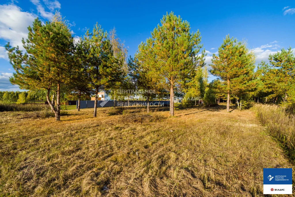 Продажа участка, Рязанский район - Фото 8
