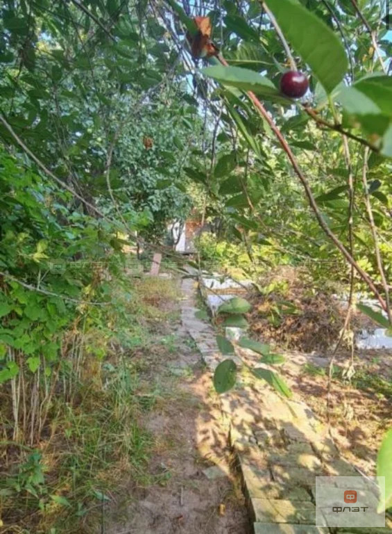 Продажа дома, Казань, садоводческое дачное товарищество Дружба - Фото 19
