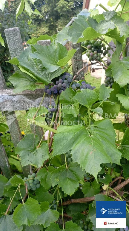 Продажа дома, Федоровка, Михайловский район, ул. Новый поселок - Фото 13