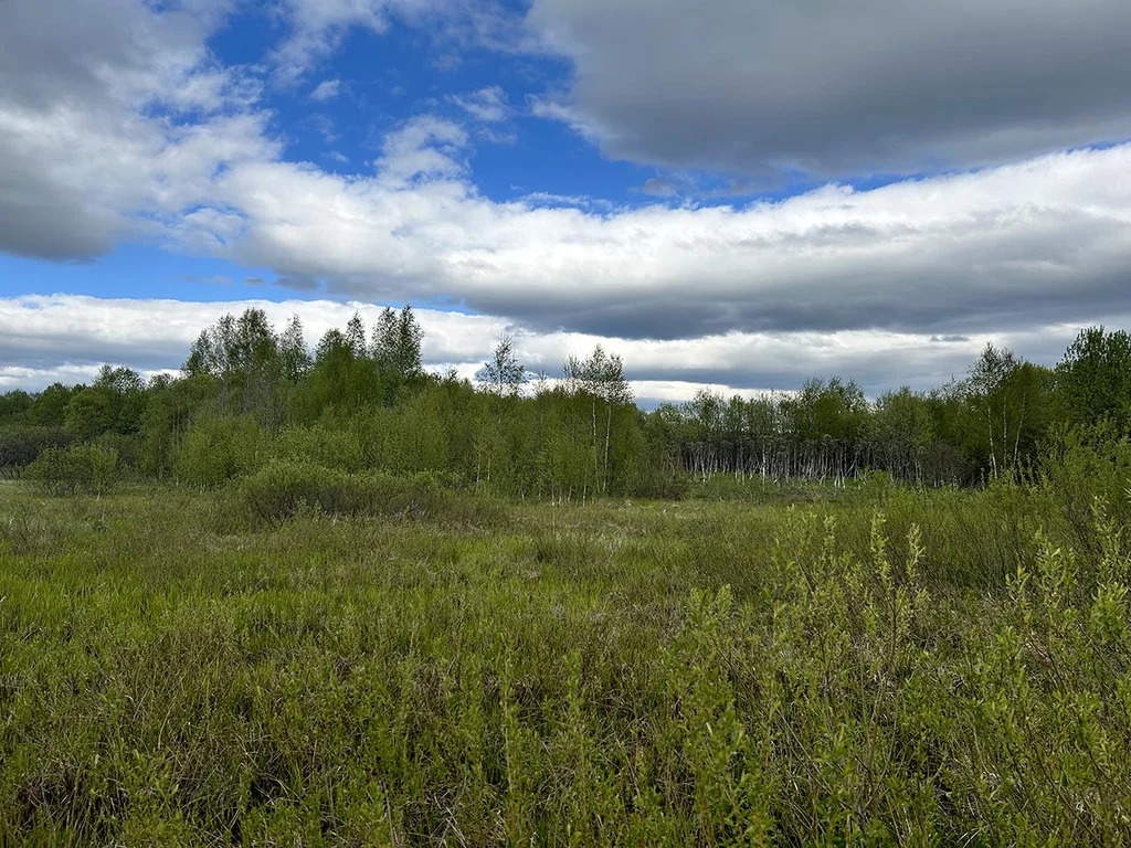 Продажа участка, Дмитровский район - Фото 0