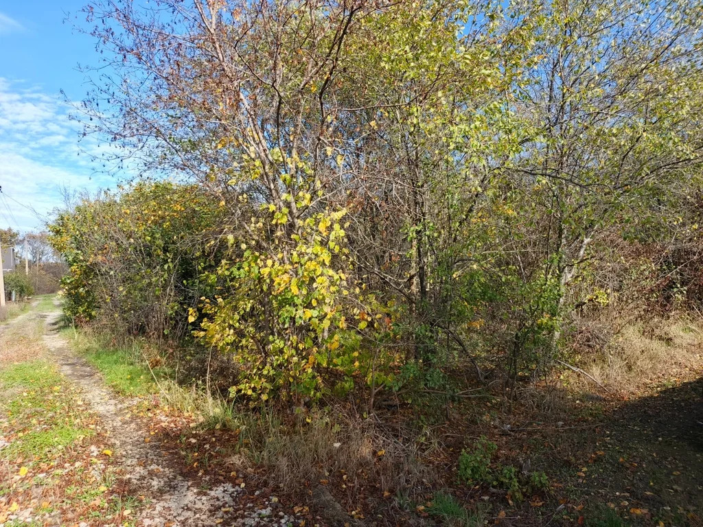 Продажа участка, Афипский, Северский район - Фото 4