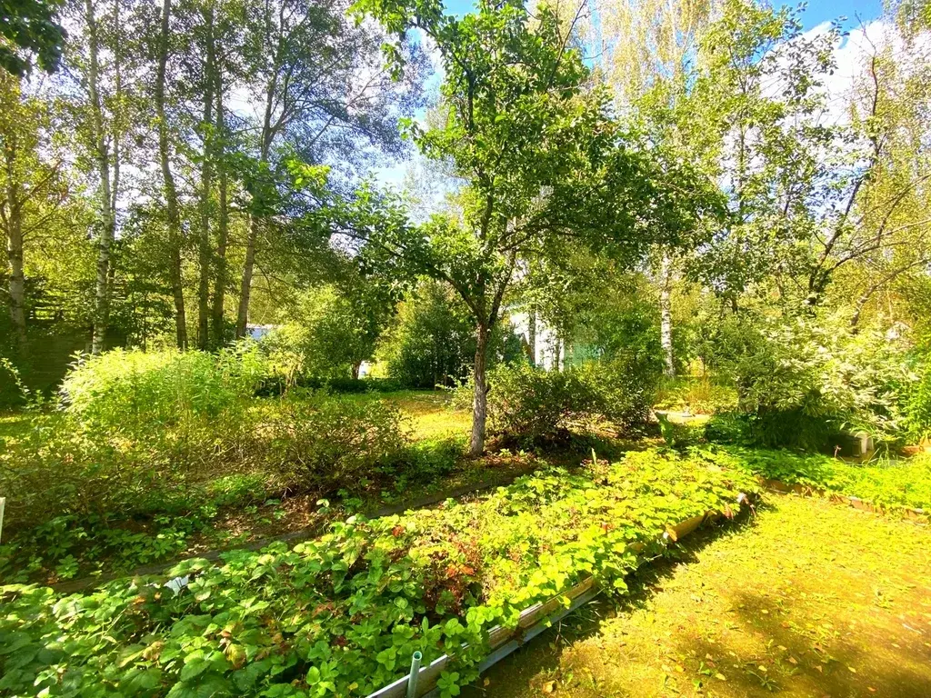 Дача в СНТ Заречье - Фото 9